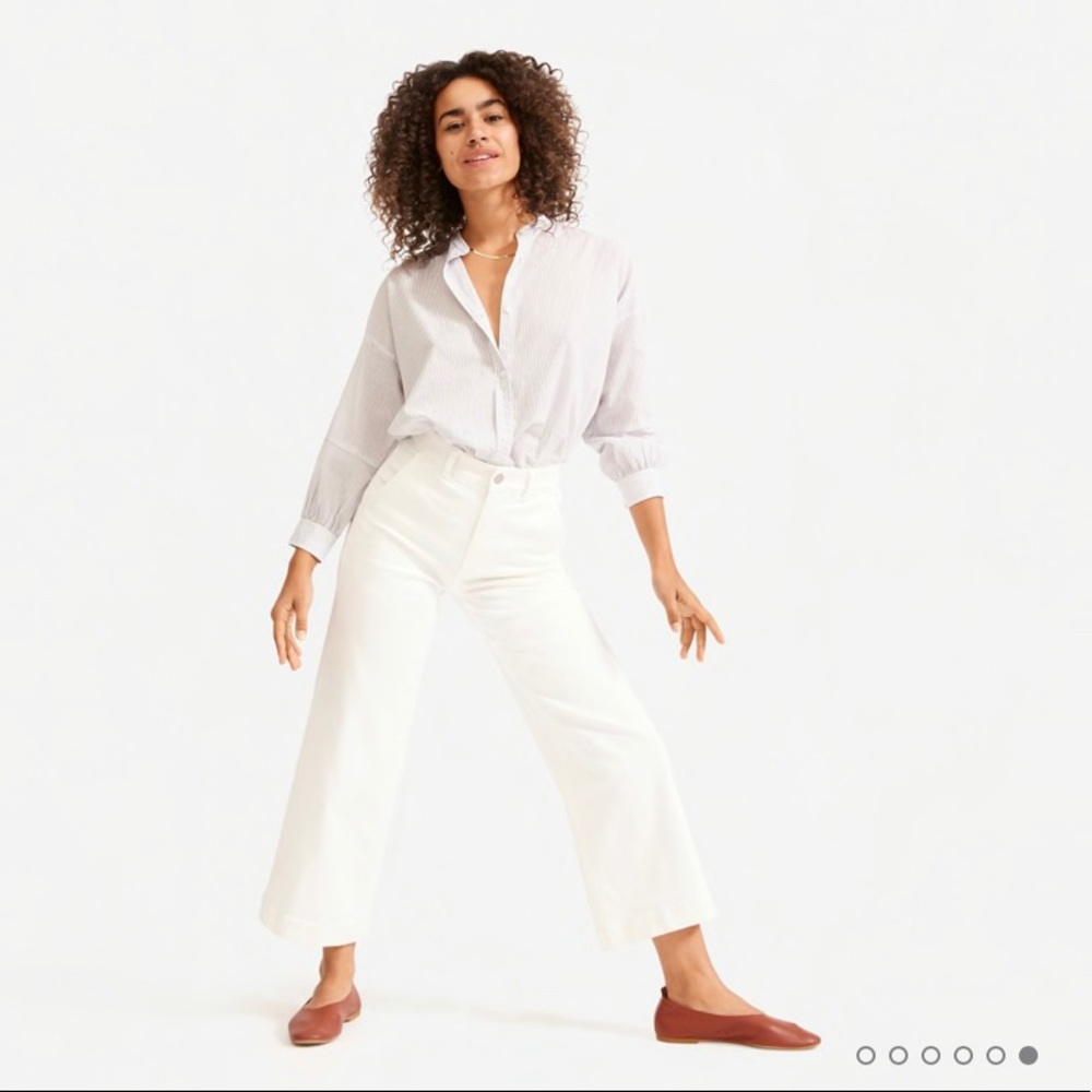Everlane Wide Leg Crop Pant - Short Length
